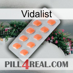 Vidalist 26